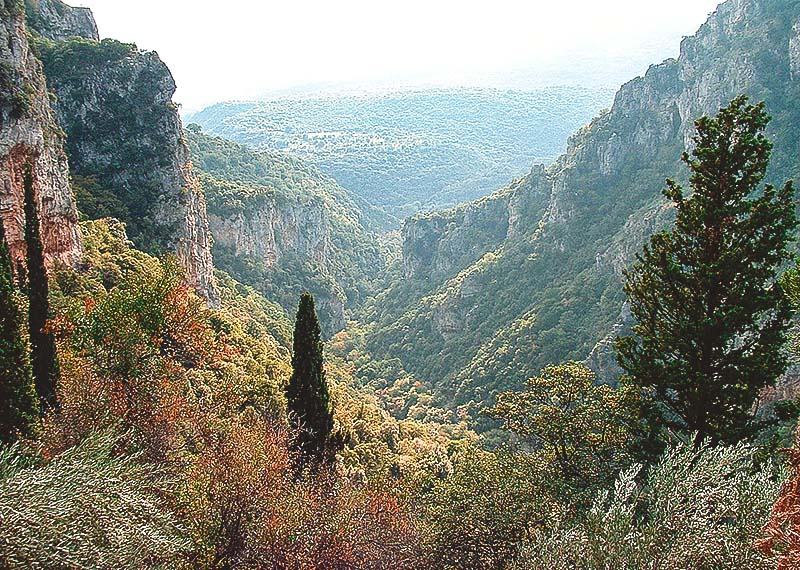 Το φαράγγι του Λούσιου