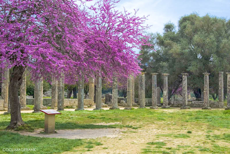 Η Παλαίστρα στην Αρχαία Ολυμπία