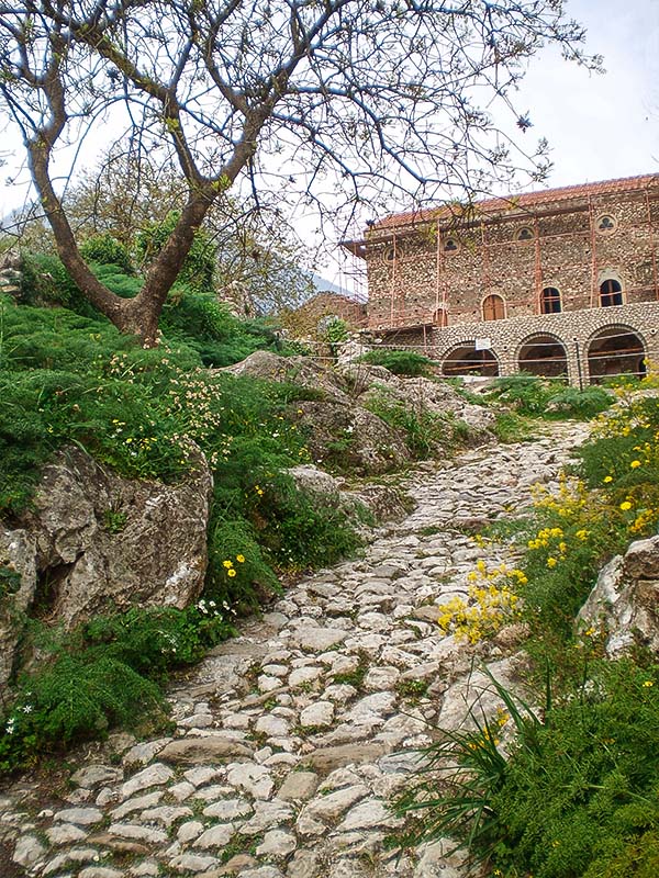 Πέτρινο μονοπάτι στο Μυστρά