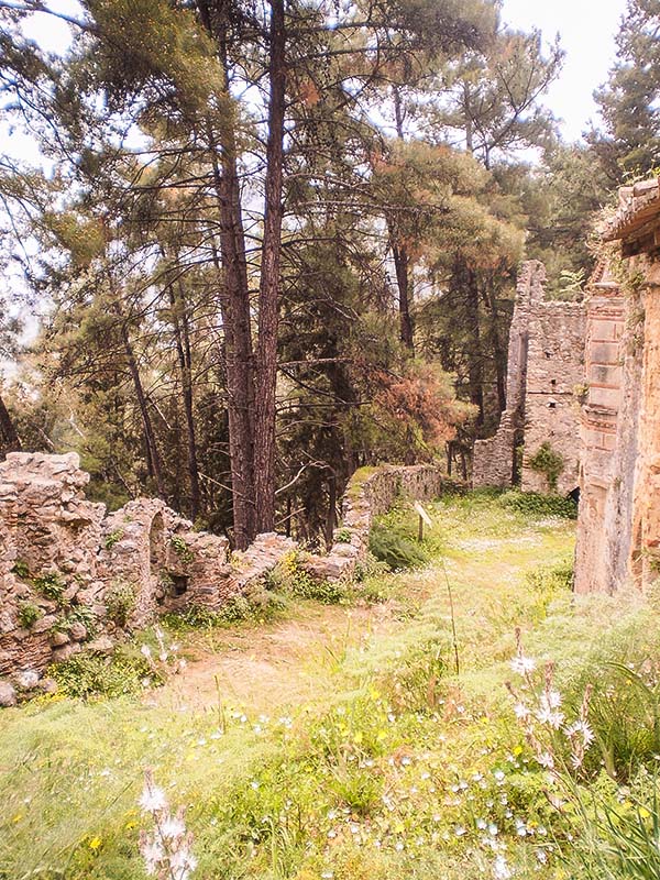 Μέρος του φυσικού τοπίου που περιβάλλει την καστροπολιτεία του Μυστρά