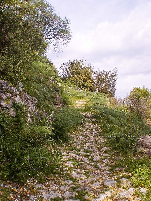 Πέτρινο μονοπάτι στο Μυστρά